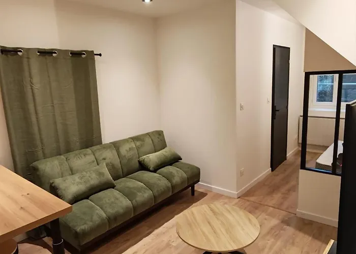 Neufs Classes 3 Etoiles - Vic Le Comte - Auvergne *